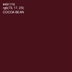 #491119 - Cocoa Bean Color Image